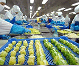 富士通為生鮮食品廠定制潔凈方案，助力食品廠美好環境建設